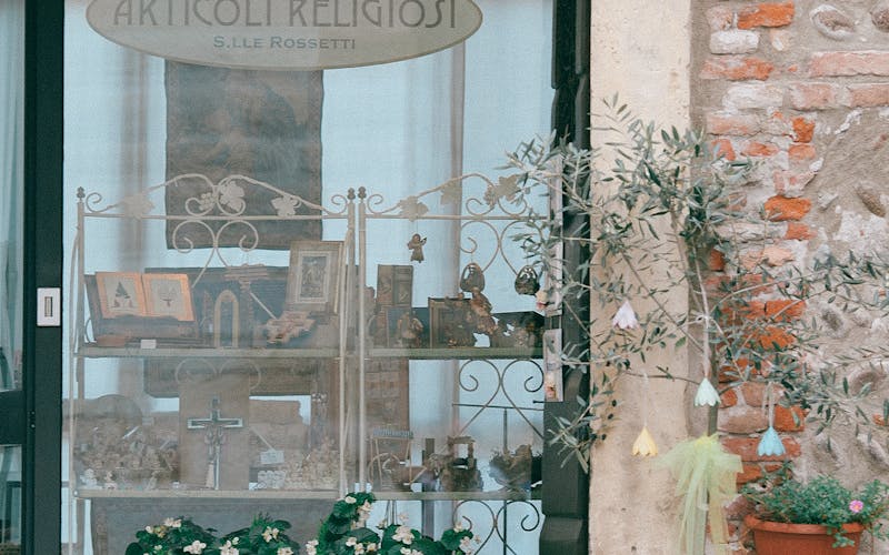 Vitrine de boutique décorée avec des plantes et des fleurs de printemps